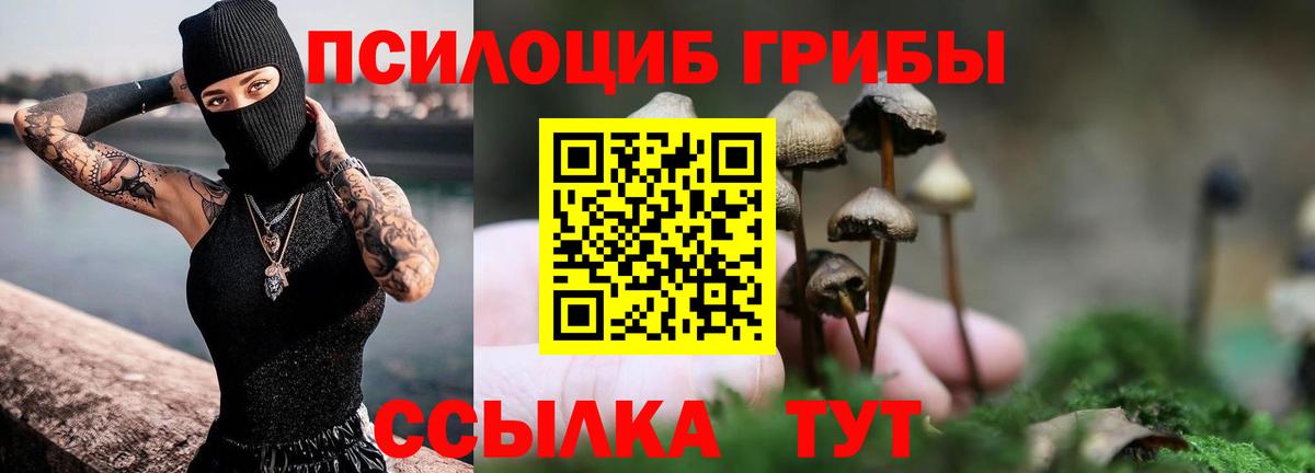 Псилоцибиновые грибы мицелий  Вход с VPN  Комсомольск-на-Амуре 